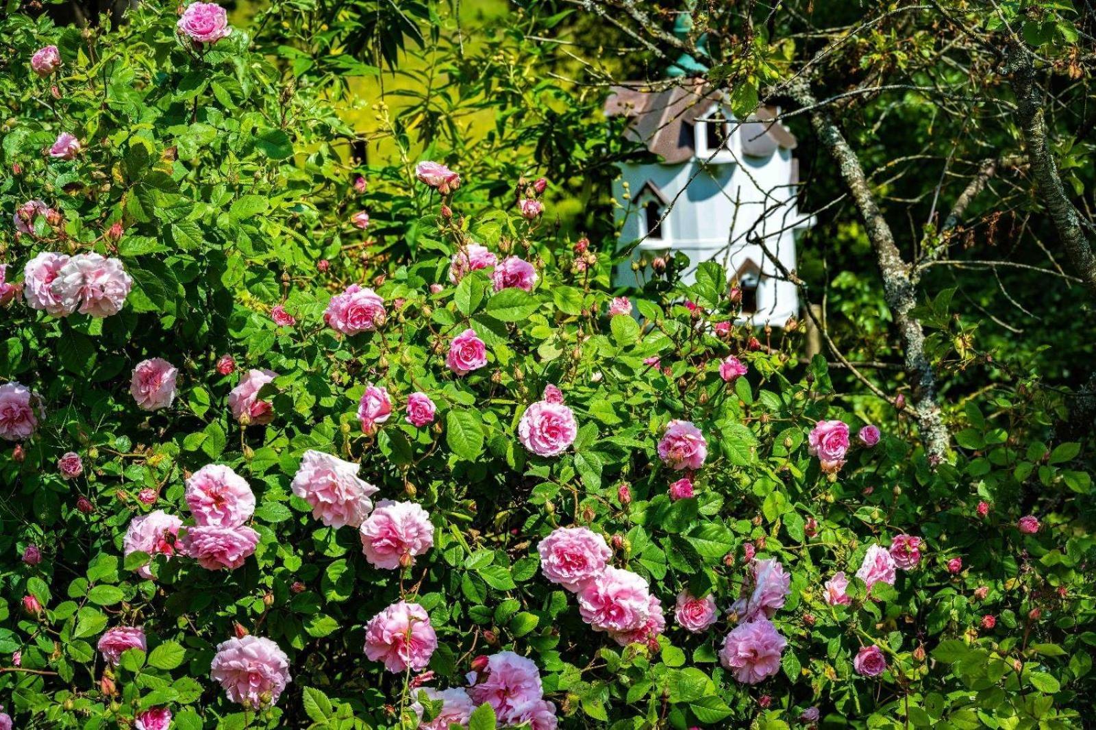 Ebony Cottage Tenbury Ngoại thất bức ảnh